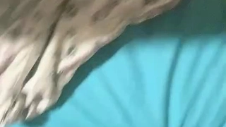 验证贴小母狗扩肛内射高潮